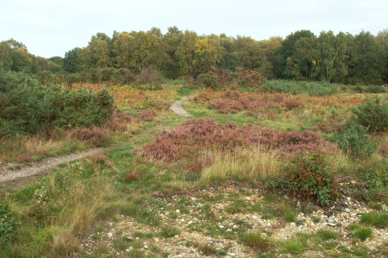Mousehold A5