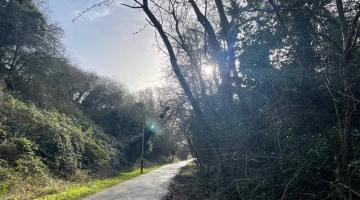 Lakenham Way with sunshine coming through the trees