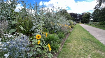 Heigham Park 